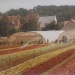 Exploitation à louer