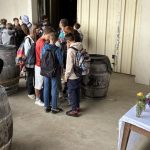 Des collégiens emmenés à la découverte des métiers du vin à Chinon
