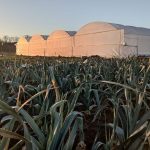 Ouvrier agricole – CDD